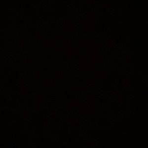 Meet your Posher, Ellie